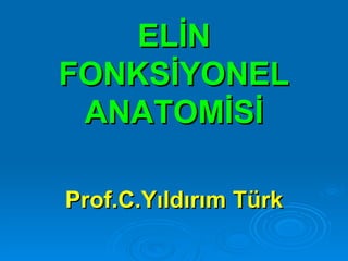 ELİN
FONKSİYONEL
 ANATOMİSİ

Prof.C.Yıldırım Türk
 