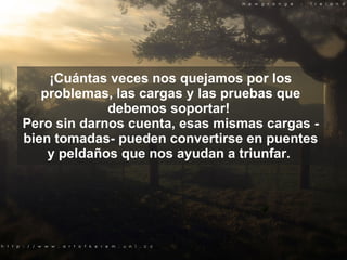 ¡Cuántas veces nos quejamos por los problemas, las cargas y las pruebas que debemos soportar!  Pero sin darnos cuenta, esas mismas cargas -bien tomadas- pueden convertirse en puentes y peldaños que nos ayudan a triunfar.  