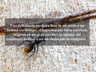 Una deficiencia cardíaca hizo de un médico un
famoso cardiólogo; el impedimento físico convirtío
    al joven en un gran escritor; la timidez del
estudiante lo llevó a ser un destacado investigador.
 