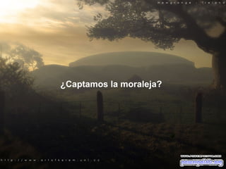 ¿Captamos la moraleja? 