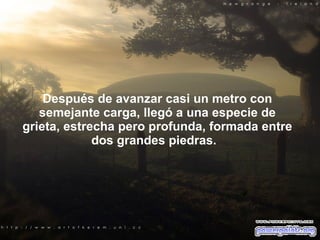 Después de avanzar casi un metro con semejante carga, llegó a una especie de grieta, estrecha pero profunda, formada entre dos grandes piedras.   