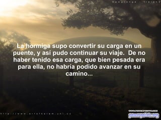 La hormiga supo convertir su carga en un puente, y así pudo continuar su viaje.  De no haber tenido esa carga, que bien pesada era para ella, no habría podido avanzar en su camino... 