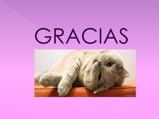GRACIAS
 