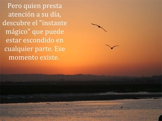 Pero quien presta
atención a su día,
descubre el "instante
mágico" que puede
estar escondido en
cualquier parte. Ese
momento existe.
 