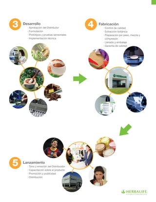 Desarrollo
	 · Aprobación del Distributor
	 · Formulación
	 · Prototipos y pruebas sensoriales
	 · Implementación técnica
Fabricación
	 · Control de calidad
	 · Extracción botánica
	 · Preparación por peso, mezcla y
	 compresión
	 · Llenado y embalaje
	 · Garantía de calidad
Lanzamiento
	 · Tono y emoción del Distribuidor 	
	 · Capacitación sobre el producto
	 · Promoción y publicidad
	 · Distribución
 