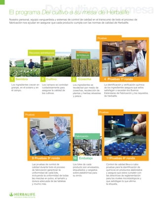 DelcultivoasumesaEl programa Del cultivo a su mesa de Herbalife
Nuestro personal, equipo vanguardista y sistemas de control de calidad en el transcurso de todo el proceso de
fabricación nos ayudan en asegurar que cada producto cumpla con las normas de calidad de Herbalife.
1 Siembra 3 Cosecha2 Cultivo 4 Pruebas 1a
ronda
10 Embalaje 11Pruebas 4a
ronda9 Pruebas 3a
ronda
Los ingredientes crecen en
granjas, en el océano y en
el campo.
Los campos se controlan
cuidadosamente para
asegurar la calidad de
los cultivos.
Los ingredientes se
recolectan por medio de
cosechas, recolección de
plantas y hierbas silvestres
y pesca.
La identificación y verificación química
de los ingredientes asegura que estos
satisfagan o excedan los Buenos
Estándares de Fabricación y los requisitos
de Herbalife.
Las pruebas de control de
calidad durante todo el proceso
de fabricación garantizan la
uniformidad de cada lote,
incluyendo la uniformidad de todas
las mezclas en polvo, el tamaño y
dureza adecuada de las tabletas
y mucho más.
Los lotes de cada
producto son envasados,
etiquetados y cargados
sobre plataformas para
su envío.
Control de calidad lleva a cabo
pruebas para la identificación de
químicos en productos elaborados
y asegura que estos cumplen con
las directrices de reglamentación
para los niveles microbiológicos y
que satisfagan lo que afirma
la etiqueta.
Recursos estratégicos
Fabricación
Pruebas
Pruebas
Pruebas
 