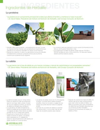 INGREDIENTES
La sábila
	 La gel dentro de la hoja de sábila es una mezcla compleja y natural de carbohidratos con propiedades calmantes”.
	 – Dr. David Heber, Presidente del Instituto de Nutrición de Herbalife y del Consejo Consultor de Nutrición
La proteína
	 La proteína es el componente principal de la dieta que afecta el hambre y mantiene la masa muscular”.
	 – Dr. David Heber, Presidente del Instituto de Nutrición de Herbalife y del Consejo Consultor de Nutrición
“
“
• Herbalife utiliza varias proteínas – principalmente la de soya. La soya 	
es originaria del Asia Oriental, pero actualmente la mayoría de la soya 	
	 utilizada en los productos Herbalife®
se cultivan en las Américas.
• Después de cosechar un cultivo, los agricultores de soya de Herbalife 	
	 inmediatamente comienzan a preparar la tierra para la próxima
	 cosecha que se plantará el año siguiente. 	
• La condición ideal para plantación ocurre cuando la temperatura de la 		
	 tierra es de 60 grados Fahrenheit o más.
• Las poblaciones normales de plantas oscilan entre las 100,000 a 		
	 200,000 semillas por acre y toman entre 80 a 120 días para madurar 		
	 desde la siembra hasta la cosecha.
• La planta de sábila crece en climas áridos. 	
	 Éstas son plantas sin tallo que almacenan 	
	 agua en sus hojas, tallos y raíces. A pesar 	
	 de que son indígenas de África, la mayoría 	
	 de sábila de Herbalife viene de México.
• Los agricultores de sábila transplantan los 	
	 retoños de sábila que se encuentran entre 8 a	
	 12 pulgadas de altura. Estos retoños de sábila 	
	 tomarán de 18 a 24 meses para madurar.	
• Al igual que la mayoría de los cultivos, la 	
	 sábila se siembra en hileras. Las plantas 	
	 están separadas por 31 pulgadas de
	 distancia. Aproximadamente 5,000 plantas de 	
	 sábila crecerán en un acre de tierra.
• Las plantas de sábila crecen de 24 a 39 pulgadas 		
	 de altura. Las flores tienen pétalos tubulares
	 amarillos, crecen en el verano y cuelgan de una 		
	 espiga que puede alcanzar hasta 35 pulgadas
	 de alto.
• Las hojas de una planta de sábila se cosechan 		
dos veces al año, y no se cortan más de seis
	 hojas de una planta durante cada cosecha.
• Después de cosechar las hojas de sábila, se 	
	 extrae la gel de las hojas mecánicamente 	
	 para crear cortes de sábila en filetes. Los 	
	 filetes se procesan para crear el ingrediente 	
	 de sábila final que Herbalife utiliza para que 	
	 sus productos de Aloe Herbalife®
,
	 incluyendo el Concentrado de Sábila y la 	
	 Sábila en Polvo.
Ingredientes de Herbalife
 