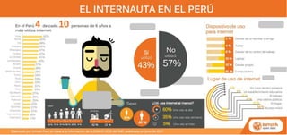 El internauta en el Perú