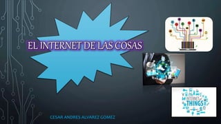 CESAR ANDRES ALVAREZ GOMEZ
 