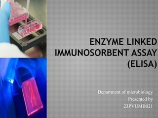 Enzyme linked immunosorbent assay (ELISA) | PPTX
