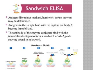 Enzyme linked immunosorbent assay (ELISA) | PPTX