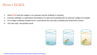 ELISA (Enzyme-Linked Immunosorbent Assay).pptx