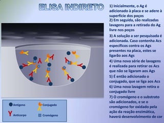  Amostras a serem testadas