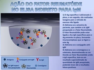  Conjugado: Ac ou Ag ligados covalentemente a uma enzima