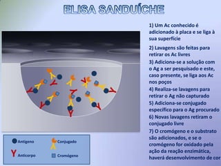 Cromógeno: substância incolor que, ao ser oxidada pela reação enzimática, produz cor 