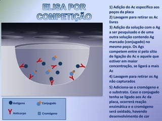  Teste com alta sensibilidade (habilidade de detectar quantidades mínimas do Ag ou Ac pesquisados (O ELISA detecta moléculas na ordem de nanogramas) – menor risco de falsos-negativos.