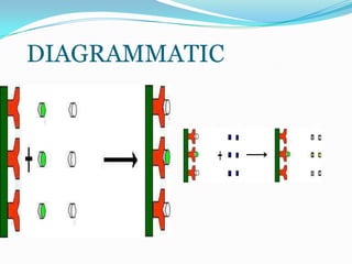 DIAGRAMMATIC
 
