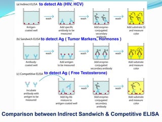 to detect Ab (HIV, HCV)




             to detect Ag ( Tumor Markers, Hormones )




               to detect Ag ( Free Testosterone)




Comparison between Indirect Sandwich & Competitive ELISA
 