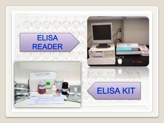 ELISA
READER

ELISA KIT

 