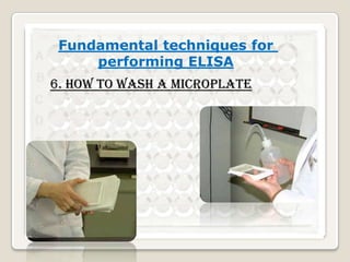 Fundamental techniques for
performing ELISA
6. How to wash a microplate

 