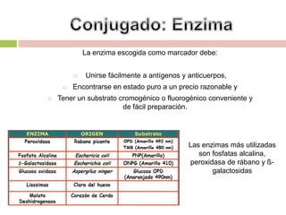 La enzima escogida como marcador debe:
 Unirse fácilmente a antígenos y anticuerpos,
 Encontrarse en estado puro a un precio razonable y
 Tener un substrato cromogénico o fluorogénico conveniente y
de fácil preparación.
Las enzimas más utilizadas
son fosfatas alcalina,
peroxidasa de rábano y ß-
galactosidas
 