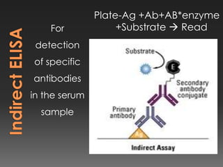 Enzyme Linked Immunosorbent Assay ELISA and its types with emphasis on ...