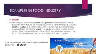 EXAMPLES IN FOOD INDUSTRY
 GLUTEN:
Gluten contains proteins like gliadin and glutenin found in seeds of wheat,
barley and rye. Around 1% of the population of North America & Europe is
sensitive to gluten. Therefore, adoption of gluten free diet is mandatory
avoiding foods containing wheat, rye, barley and other related cereal
grains. There are possibilities that traces of these seeds are present in the
food. Thus, ELISA kits are used to determine the traces of gluten.
ELISA Technologies also offers a rapid, lateral flow
gluten test — EZ Gluten.
 