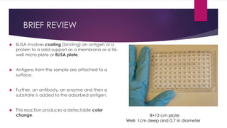 BRIEF REVIEW
 ELISA involves coating (binding) an antigen or a
protein to a solid support as a membrane or a 96-
well micro plate or ELISA plate.
 Antigens from the sample are attached to a
surface.
 Further, an antibody, an enzyme and then a
substrate is added to the adsorbed antigen.
 This reaction produces a detectable color
change. 8×12 cm plate
Well- 1cm deep and 0.7 in diameter
 