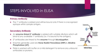 STEPS INVOLVED in ELISA
Primary Antibody
 The 1° antibody is added and will be bound only if there is a recognized
epitope within sample antigen.
Secondary Antibody
 An enzyme-linked 2° antibody is added with suitable dilutions which will
bind to any available 1° antibody (i.e. it is bound to the antigen).
 2° antibodies are linked to the enzyme through biconjugation.
 Enzymes generally used are Horse Radish Peroxidase (HRP) & Alkaline
Phosphatase (AP).
 Plate is washed with buffer or a mild detergent to remove any unbound
antibodies or proteins.
 
