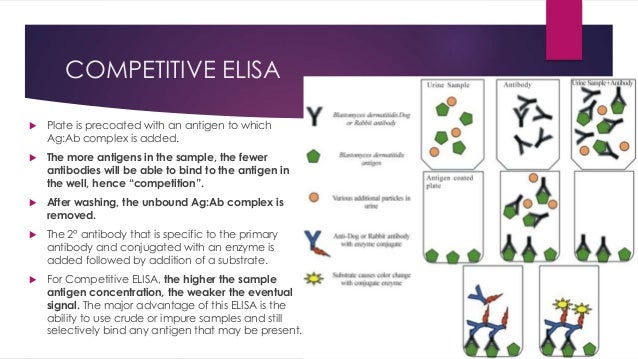 elisa competitive elisa