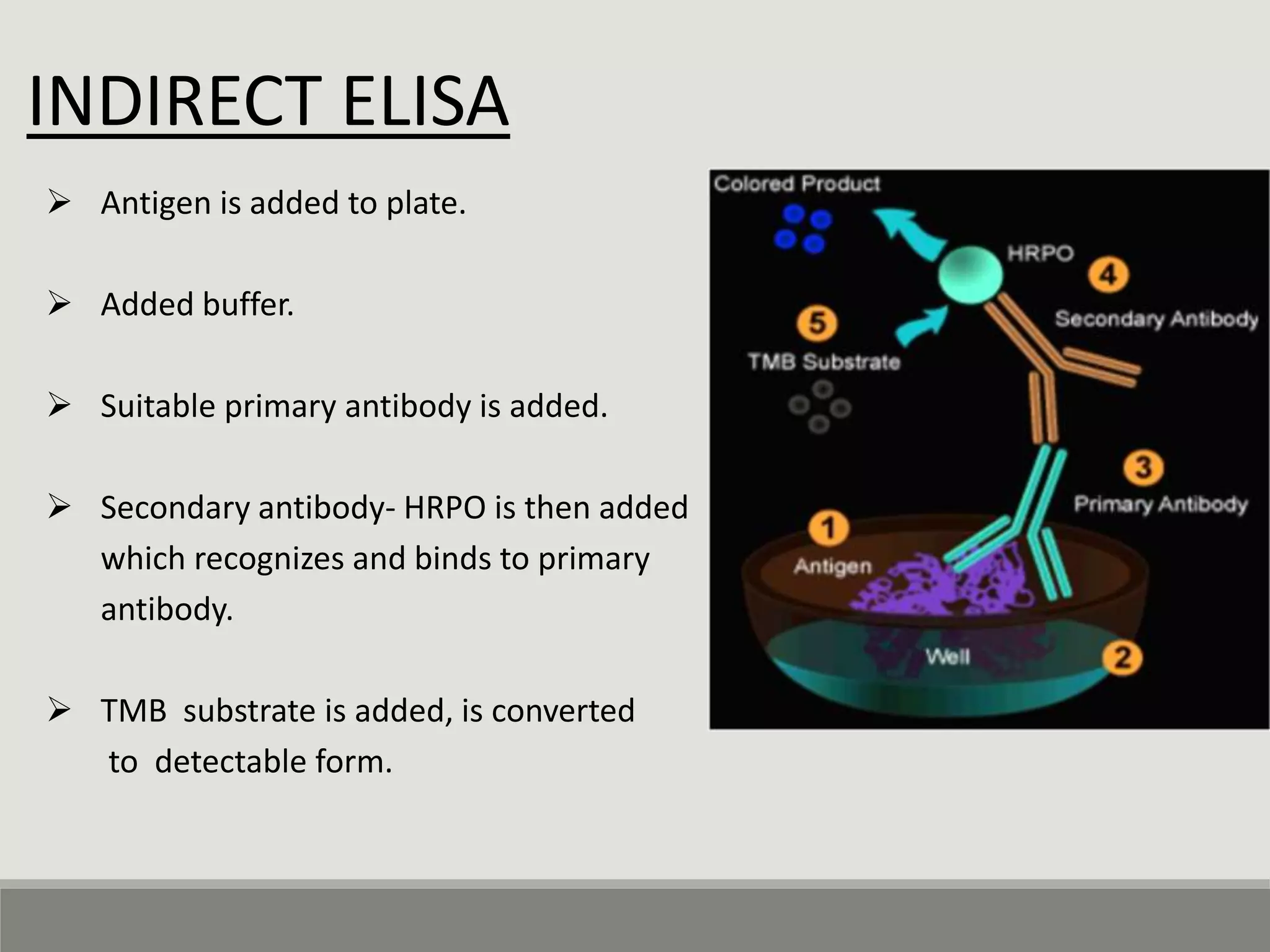 Elisa AND ITS APPLICATION | PPTX