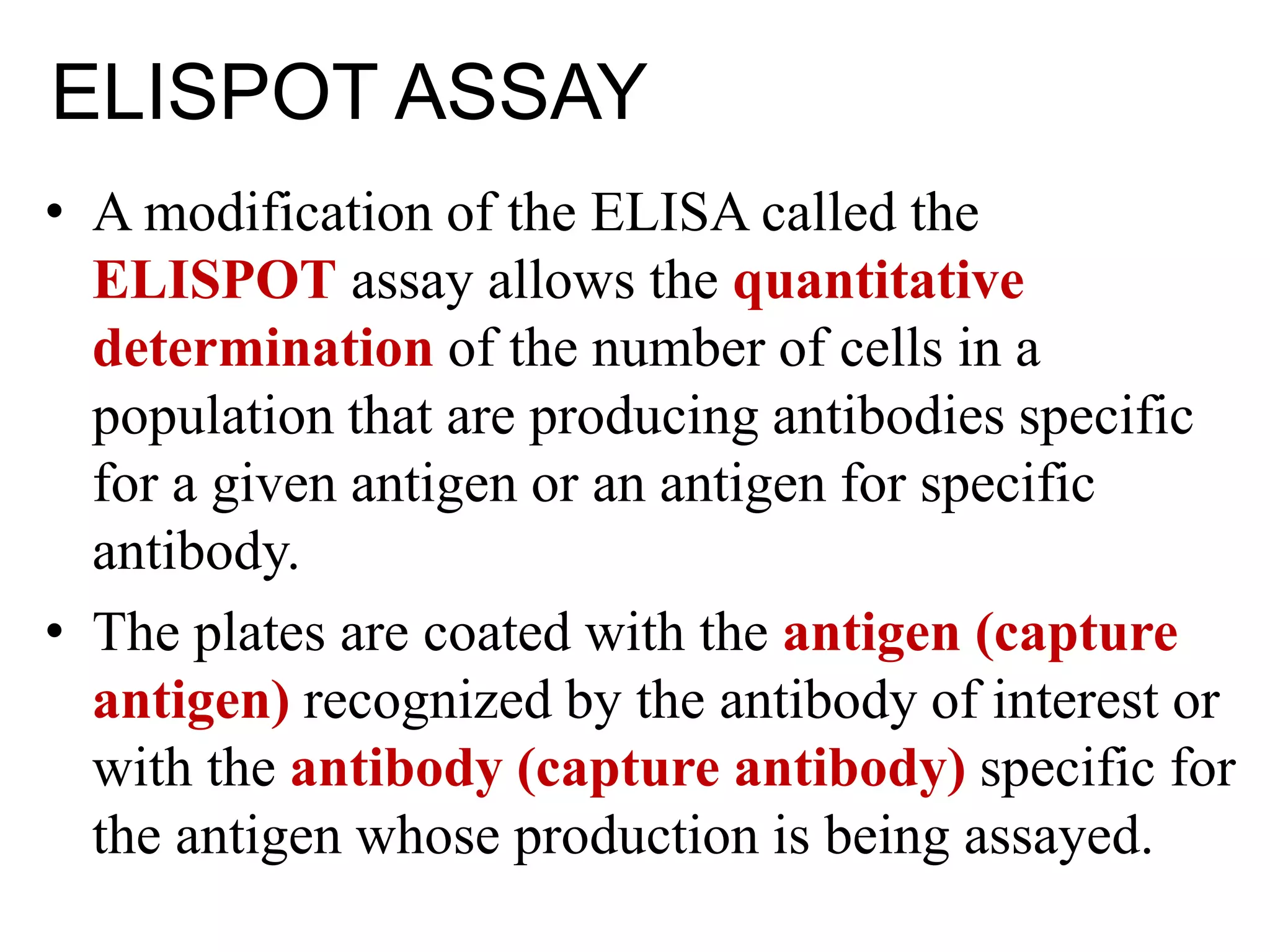 ELISPOT ASSAY
• A modification of the ELISA called the
ELISPOT assay allows the quantitative
determination of the number of cells in a
population that are producing antibodies specific
for a given antigen or an antigen for specific
antibody.
• The plates are coated with the antigen (capture
antigen) recognized by the antibody of interest or
with the antibody (capture antibody) specific for
the antigen whose production is being assayed.
 