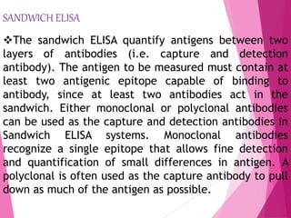 Elisa | PPTX