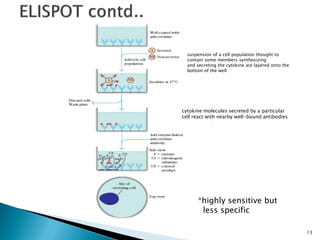 Elisa | PDF