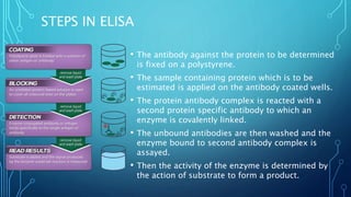 STEPS IN ELISA
• The antibody against the protein to be determined
is fixed on a polystyrene.
• The sample containing protein which is to be
estimated is applied on the antibody coated wells.
• The protein antibody complex is reacted with a
second protein specific antibody to which an
enzyme is covalently linked.
• The unbound antibodies are then washed and the
enzyme bound to second antibody complex is
assayed.
• Then the activity of the enzyme is determined by
the action of substrate to form a product.
 