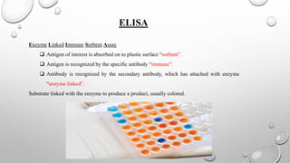 Elisa | PPTX