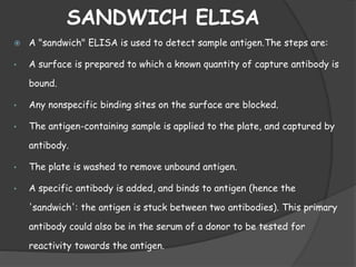 Elisa | PPTX