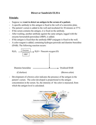Elisa | PDF