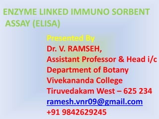 Presented By
Dr. V. RAMSEH,
Assistant Professor & Head i/c
Department of Botany
Vivekananda College
Tiruvedakam West – 625 234
ramesh.vnr09@gmail.com
+91 9842629245
ENZYME LINKED IMMUNO SORBENT
ASSAY (ELISA)
 