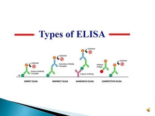 ELISA and its advantages | PPTX