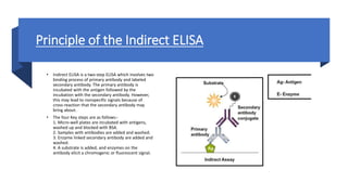 Principle of the Indirect ELISA
• Indirect ELISA is a two-step ELISA which involves two
binding process of primary antibody and labeled
secondary antibody. The primary antibody is
incubated with the antigen followed by the
incubation with the secondary antibody. However,
this may lead to nonspecific signals because of
cross-reaction that the secondary antibody may
bring about.
• The four Key steps are as follows:-
1. Micro-well plates are incubated with antigens,
washed up and blocked with BSA.
2. Samples with antibodies are added and washed.
3. Enzyme linked secondary antibody are added and
washed.
4. A substrate is added, and enzymes on the
antibody elicit a chromogenic or fluorescent signal.
 