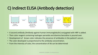 C) Indirect ELISA (Antibody detection)
• A second antibody (Antibody against human immunoglobulin) conjugated with HRP is added.
• Then color reagent containing hydrogen peroxide and diamino benzidine is poured over.
• Development of brown color indicates the presence of antibodies in the patient’s serum.
• The color developed is proportional to the antibody concentration.
• From the intensity of color, the concentration of Ab can be determined
NAMRATA CHHABRA- Our Biochemistry 19
 