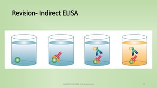 Revision- Indirect ELISA
NAMRATA CHHABRA- Our Biochemistry 20
 