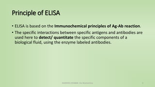 Principle of ELISA
• ELISA is based on the Immunochemical principles of Ag-Ab reaction.
• The specific interactions between specific antigens and antibodies are
used here to detect/ quantitate the specific components of a
biological fluid, using the enzyme labeled antibodies.
NAMRATA CHHABRA- Our Biochemistry 3
 