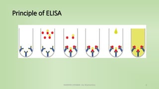 Principle of ELISA
NAMRATA CHHABRA- Our Biochemistry 6
 