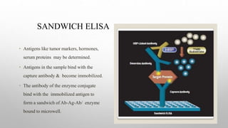 Elisa | PPTX
