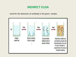 Enzyme Linked Immunosorbent Assay | PPTX