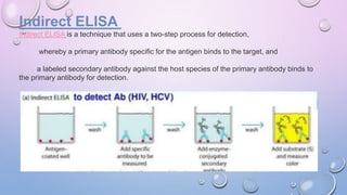 ENZYME LINKED IMMUNOSORBENT IMMMUNO ASSAY | PPTX