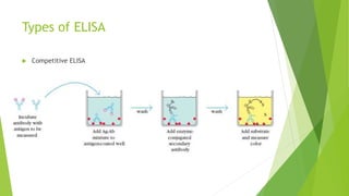Types of ELISA
 Competitive ELISA
 