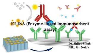 ELISA (Enzyme-linked immunosorbent
assay)
By
Dr. Shilpy Singh
NIU, Gr. Noida
 